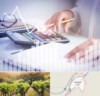 کارشناس مالیاتی در تاکستان