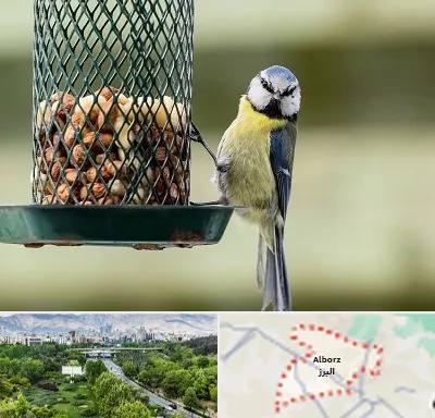 فروشگاه غذای پرندگان در البرز