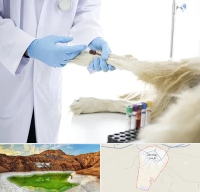 آزمایشگاه حیوانات در گرمسار
