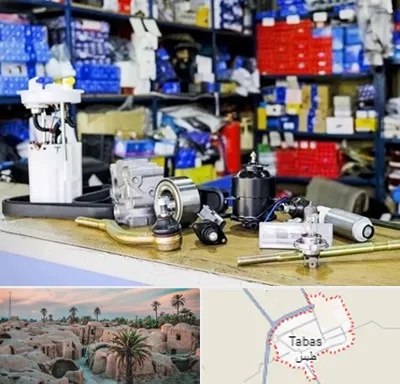 فروشگاه لوازم خودرو در طبس