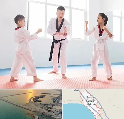 مربی رزمی در بندر کنگان