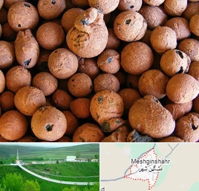 پوکه صنعتی در مشگین شهر