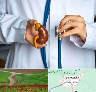 دکتر سرطان کلیه در پارس آباد