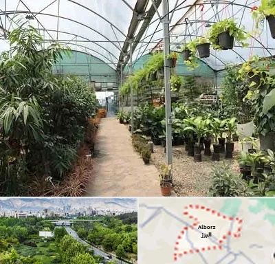 مرکز فروش گل و گیاه در البرز
