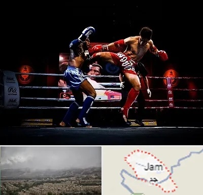باشگاه موی تای در جم