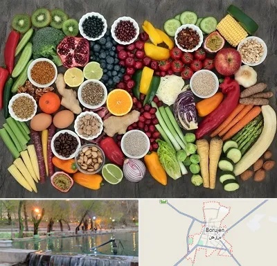 دکتر تغذیه برای چاقی در بروجن