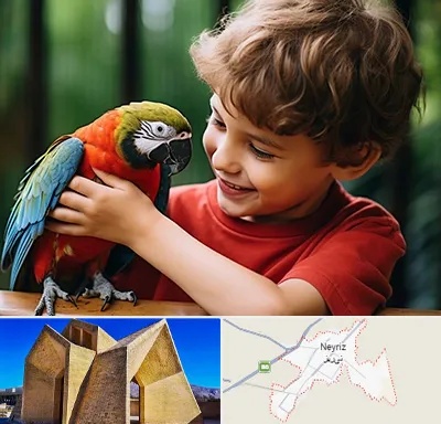 پانسیون پرندگان در نی ریز