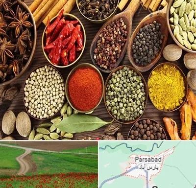 مرکز طب اسلامی در پارس آباد