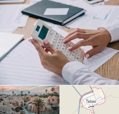 شرکت حسابرسی در طبس
