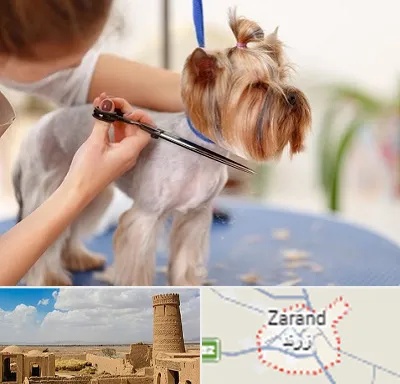 آرایشگاه سگ در زرند