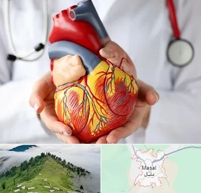 دکتر متخصص قلب و عروق در ماسال