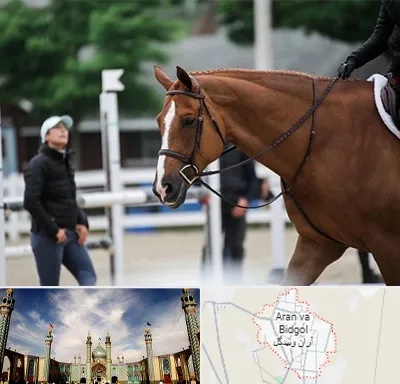 مربی سوارکاری در آران و بیدگل
