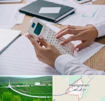 شرکت حسابرسی در مشگین شهر