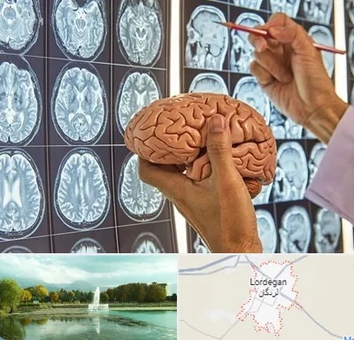 دکتر فوق تخصص جراح مغز و اعصاب در لردگان
