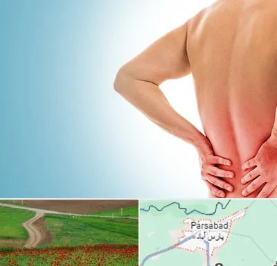 دکتر فلوشیپ دیسک کمر در پارس آباد