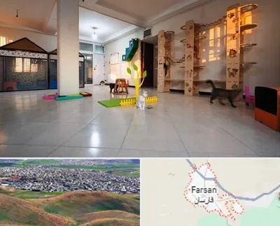 پانسیون گربه در فارسان