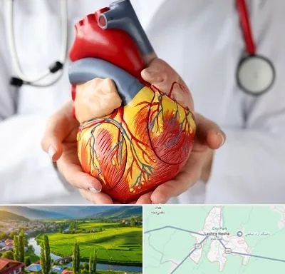 دکتر متخصص قلب و عروق در لشت نشا