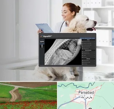 رادیولوژی حیوانات در پارس آباد