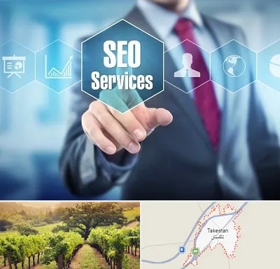 شرکت سئو سایت در تاکستان