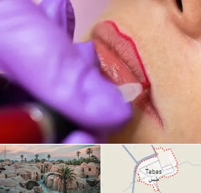 تاتو لب در طبس