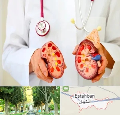 دکتر سنگ کلیه در استهبان