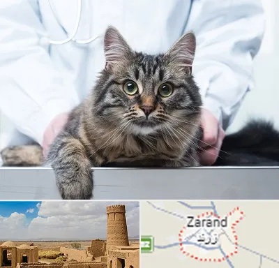 عقیم سازی حیوانات در زرند