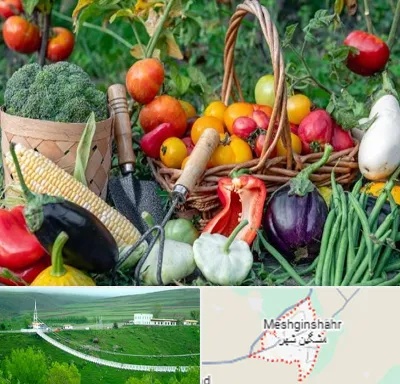 فروشگاه لوازم کشاورزی در مشگین شهر