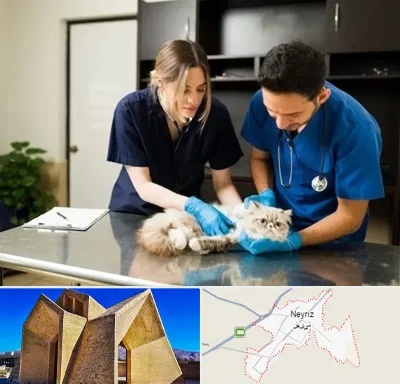 دامپزشکی سیار در نی ریز