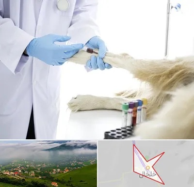آزمایشگاه حیوانات در خلخال