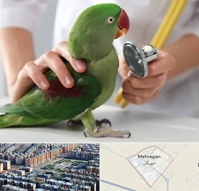 درمانگاه شبانه روزی پرندگان در مهرگان