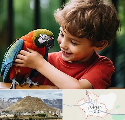 پانسیون پرندگان در گراش