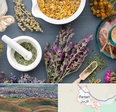 سم زدایی در فارسان