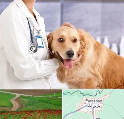 کلینیک دامپزشکی شبانه روزی در پارس آباد