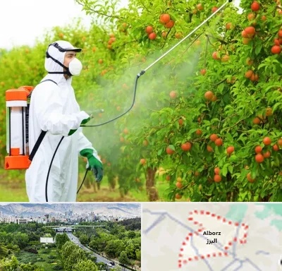 سمپاشی درختان در البرز