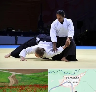 باشگاه آیکیدو در پارس آباد