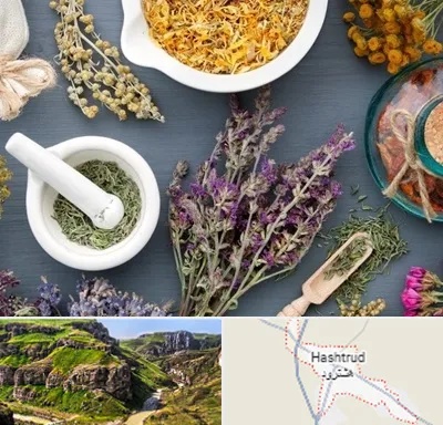 سم زدایی در هشترود