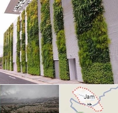 دیوار سبز در جم