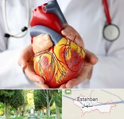 دکتر متخصص قلب و عروق در استهبان