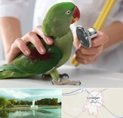 درمانگاه شبانه روزی پرندگان در لردگان