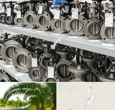فروش شیر پروانه ای در کهنوج