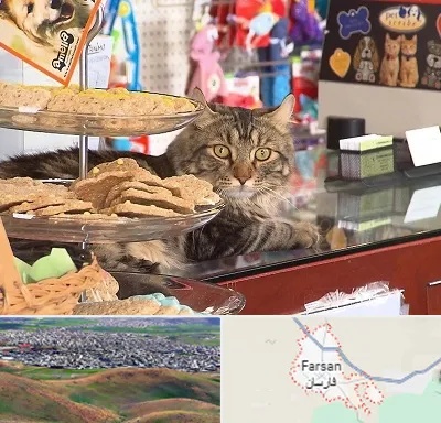 فروشگاه لوازم گربه در فارسان