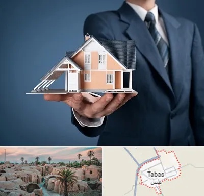 دپارتمان در طبس