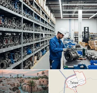 شیرآلات صنعتی در طبس