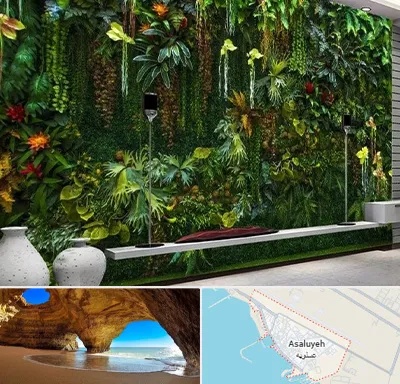 دیوار سبز مصنوعی در عسلویه