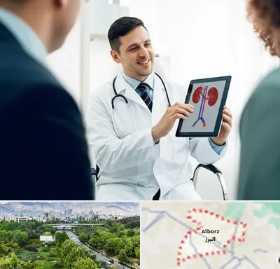 دکتر فوق تخصص سنگ کلیه در البرز