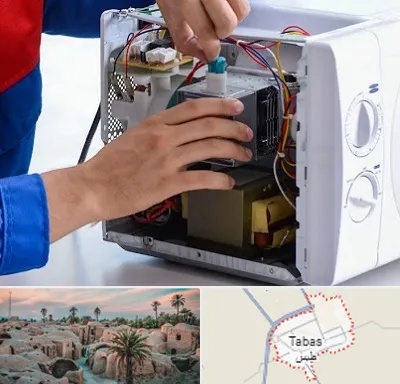 تعمیر مایکروفر در طبس