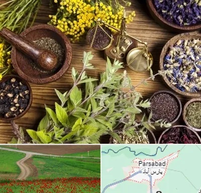 دکتر طب سنتی خانم در پارس آباد