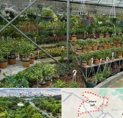 بازار گل و گیاه در البرز