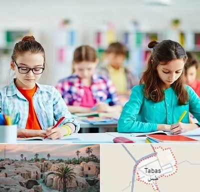 مدرسه بین المللی در طبس