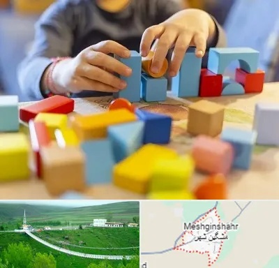 اسباب بازی فکری در مشگین شهر